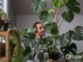 Чтобы росла в ширину, а не вверх: хитрости для ухода за монстерой