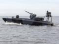 Военные Румынии уничтожили в Черном море украинский морской дрон