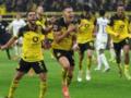 Дортмундська Боруссія переграла Гоффенгайм