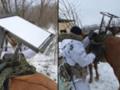 Российские военные прикрепили Starlink к лошади