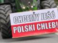 В Польше заблокировали почти 60 тонн агропродукции из Украины