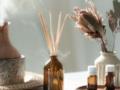 Как своими руками сделать освежитель воздуха: превратите свою квартиру в спа-салон