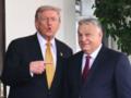 Трамп призвал венгров поддержать Орбана на выборах 2026 года
