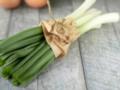 Как вырастить зеленый лук в стакане за несколько дней: больше не надо покупать