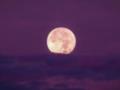 Розовое полнолуние: когда украинцы смогут увидеть уникальное явление