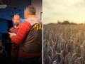 За границу вывезли зерно без всякой оплаты: в Украине разоблачили масштабную схему хищения на $29 млн