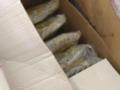 В порту Греции обнаружили около 500 килограммов каннабиса: где прятали наркотики