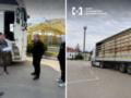 Незаконно экспортировал  лес  в Польшу: в Украине будут судить организатора схемы