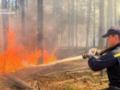 В ГСЧС рассказали о последствиях пожаров