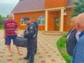Запорожский чиновник присвоил землю на 6,5 млн