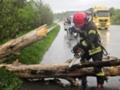 Поваленные деревья перекрыли дороги: Украину накрыла непогода