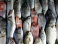 РФ запретила ввоз рыбы и рыбной продукции из Армении
