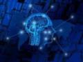 Регулярные ночные смены на работе уменьшают мозг - ученые