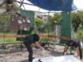 Россияне попали рядом с остановкой в Запорожье, трое погибших
