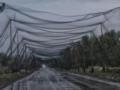 На Волыни установят антидроновые сетки возле границы с Беларусью