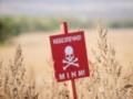 Россияне в Херсонской области убили сапера из международной организации
