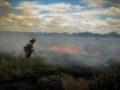 В Николаевской области из-за удара России горело 10 гектаров поля