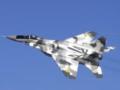 Истребитель МиГ-29 разбился в Полтавской области