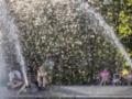 В Польше зафиксирована самая сильная жара за более чем 100 лет