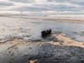 Большая часть населения РФ живет во вредной среде - разведка