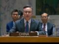 Китай в ООН обратился к Украине и России
