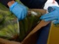 В итальянском порту нашли 340 кг кокаина в бананах