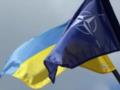 Мир против оружия: в Bloomberg выяснили, почему Италия хочет отредактировать часть коммюнике НАТО об Украине