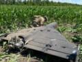 РФ меняет тактику применения  шахедов : что известно