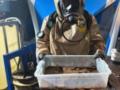Лаборатория с доходом 80 млн ежемесячно: в Украине раскрыт наркосиндикат