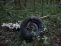 Воздушные силы ВСУ сообщили об уничтожении еще одного самолета РФ