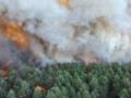 Под Парижем горит лес: эвакуировали тысячу человек