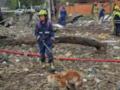 «Мероприятие, которого там точно не должно было быть»: Зеленский прокомментировал удар РФ по выставке вооружений