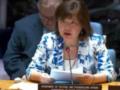 В Совбезе ООН США обратились к Украине и России