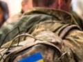 До какой даты можно вернуться из СЗЧ по упрощённой процедуре: в Минобороны напомнили о правилах