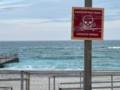 В Коблево от взрыва мины погибла супружеская пара