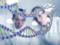 Вчені знайшли відмінності в роботі генів у чоловіків і жінок