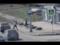В Нижнем Тагиле полицейские поймали грабителя, засветившегося на камерах видеонаблюдения