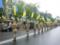 Doubtful action  Immortal Regiment  in Kiev, tried to throw in paint and smoke bombs