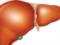 Холецистит: 5 натуральних засобів для поліпшення роботи печінки і жовчного міхура