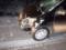 В Ивделе пожилой пешеход погиб под колесами японской иномарки