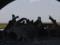 Personal dislike: the expert explained the reasons for the US attack on Assad s troops in Syria