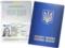 Українці навчилися шахраювати з отриманням закордонних паспортів, - ДМС