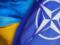 Клімкін розповів, коли Україна може вступити в НАТО
