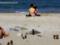 На одеських пляжах у воді і на піску підстерігає смертельна небезпека
