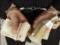 In the Khmelnytsky region, a general director of one of the enterprises got a bribe
