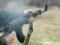 The military prosecutor s office  took on  a soldier who shot a civilian in Boryspil