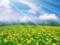 On Thursday, Ukraine will be warm and cloudy