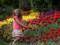 The rains leave: weather forecasters are pleased with the weather forecast for the beginning of the week in Ukraine