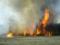 Лісова пожежа в Чорнобильській зоні ліквідовано