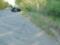 У Житомирській області легковик злетів у кювет, загинули дві людини
